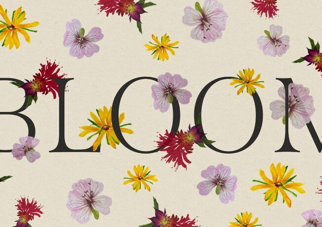 ArtWorks Red Door Project: BLOOM