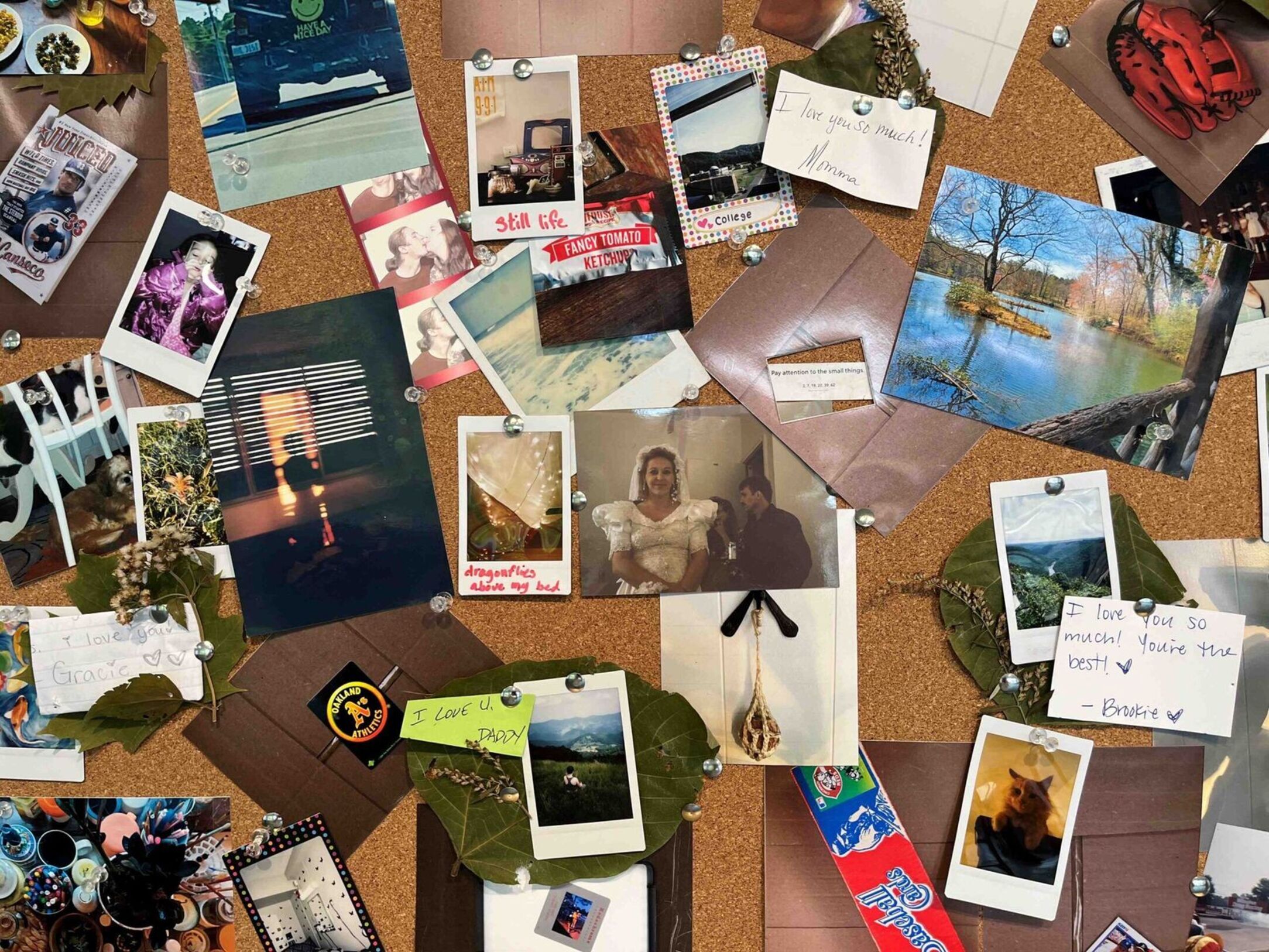 polaroids by Bianco