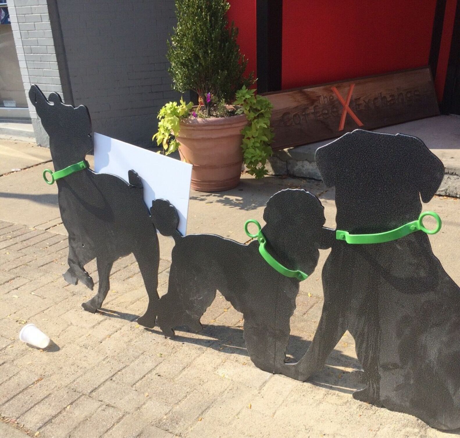 Pleasant ridge dogs