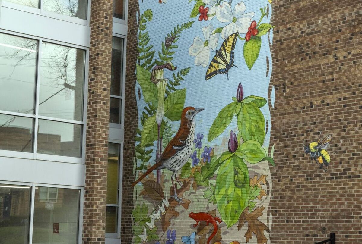 Public Art Gallery
