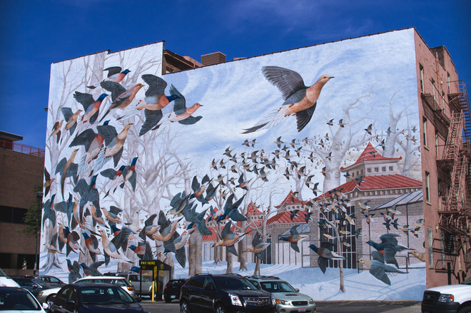 Martha, The Last Passenger Pigeon - Viewing Full Size